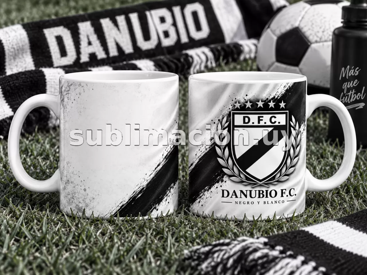 Taza de Danubio Personalizable (Mod 2)